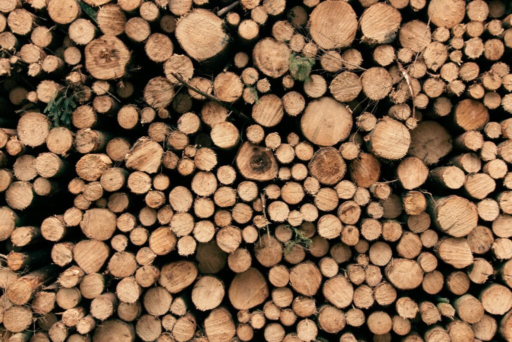 Dense forest canopy seen from above