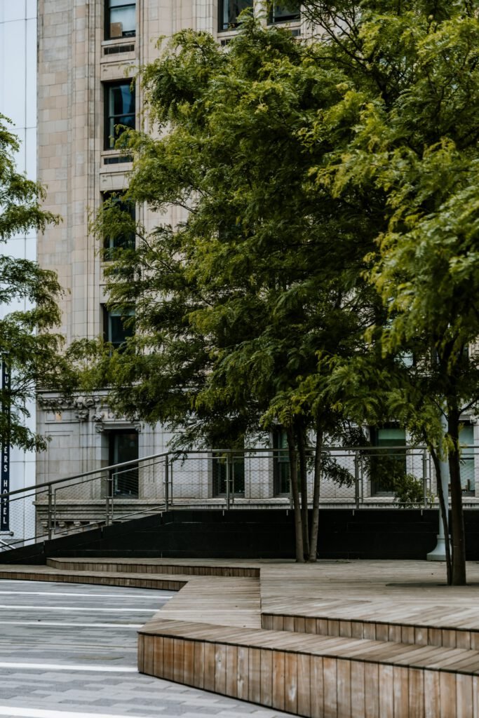 trees growing in modern urban setting