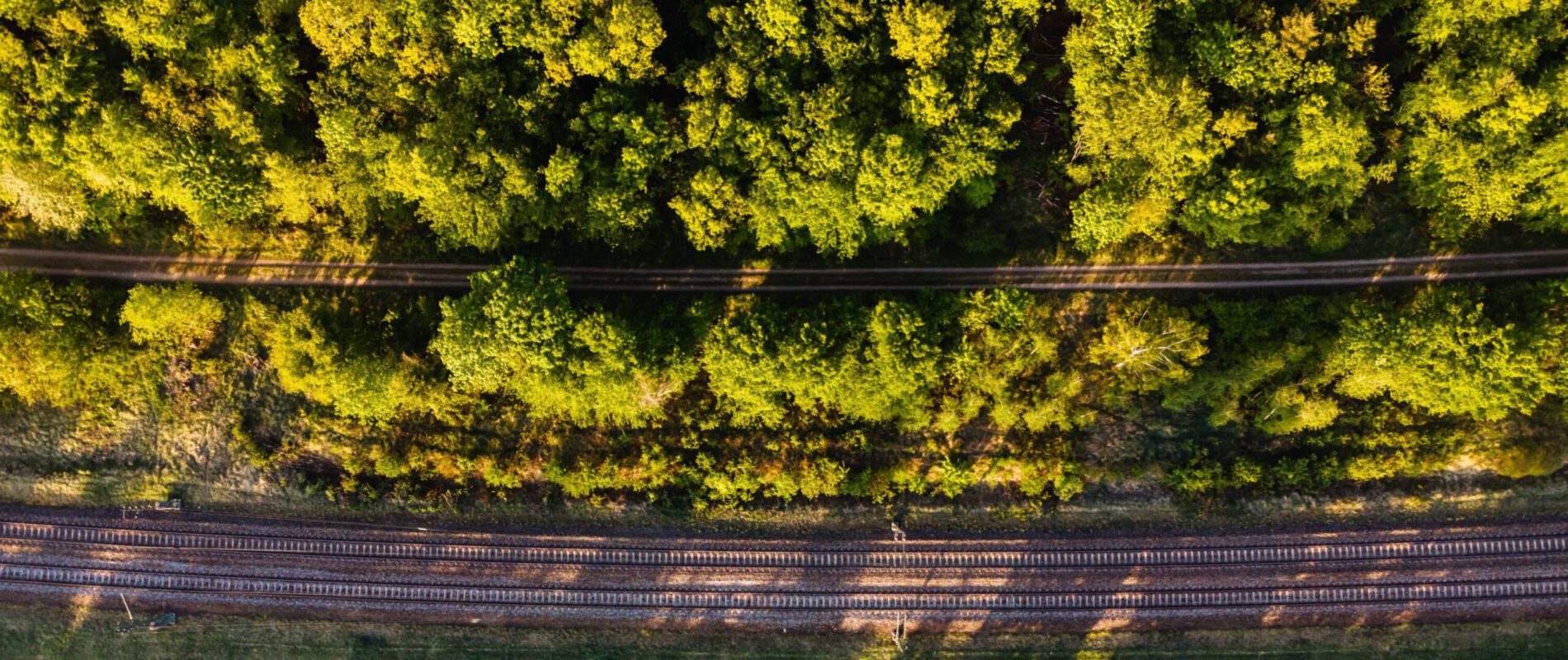 Aerial shot of rail tracks surrounded by forests