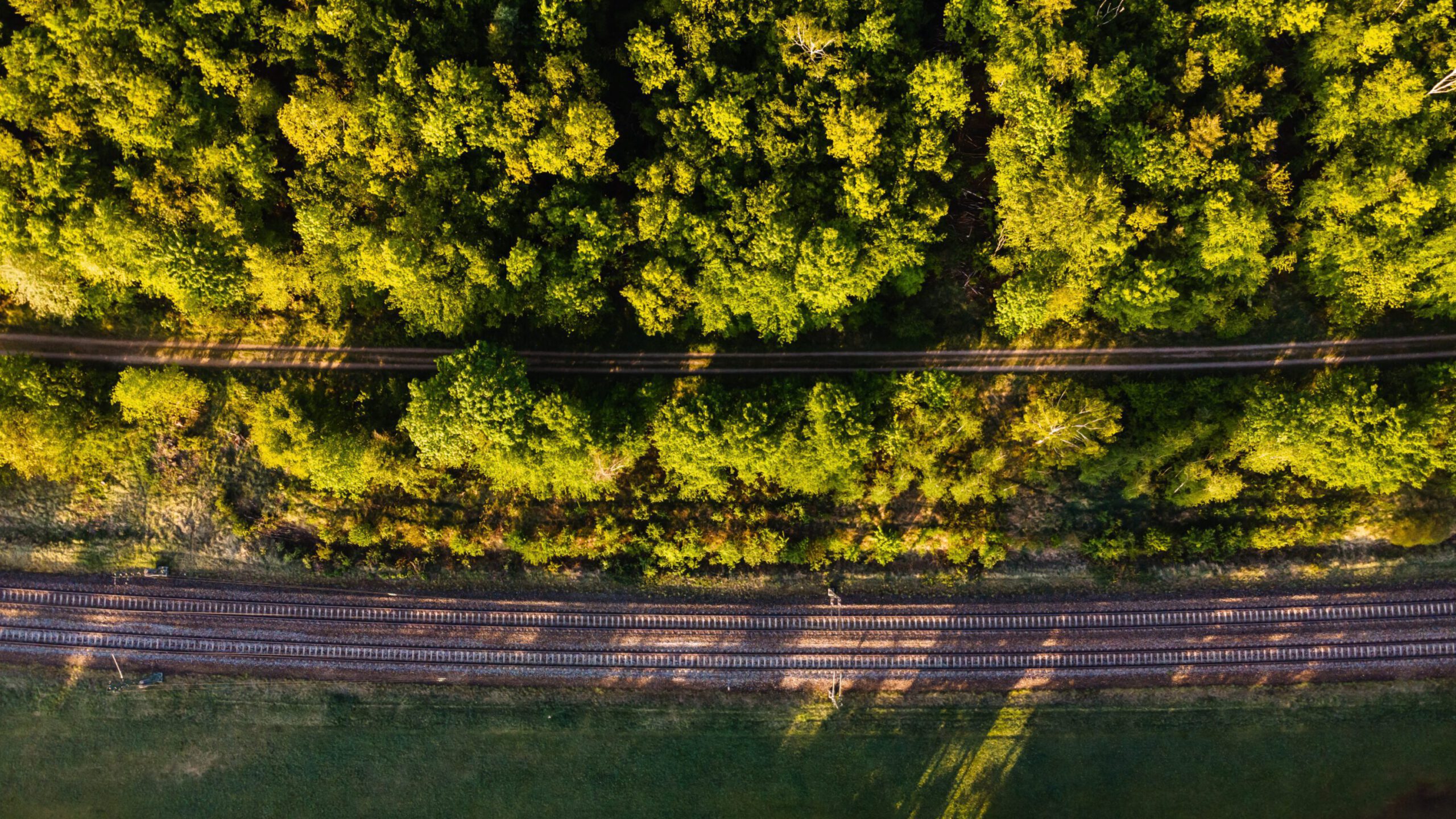 Aerial shot of rail tracks surrounded by forests