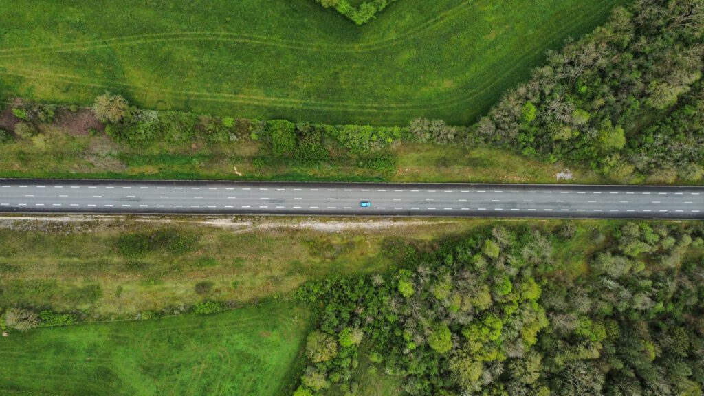 aerial view of trees and shrubs growing along the road