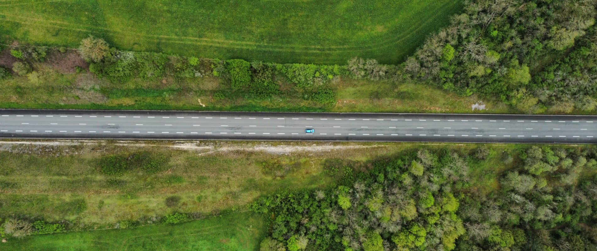aerial view of trees and shrubs growing along the road