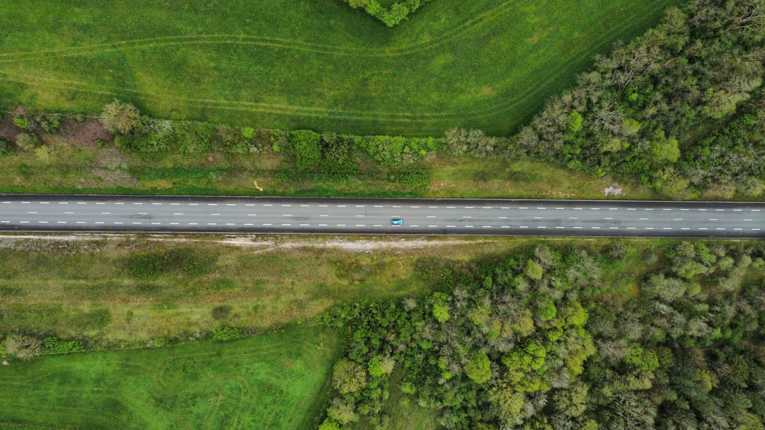 aerial view of trees and shrubs growing along the road