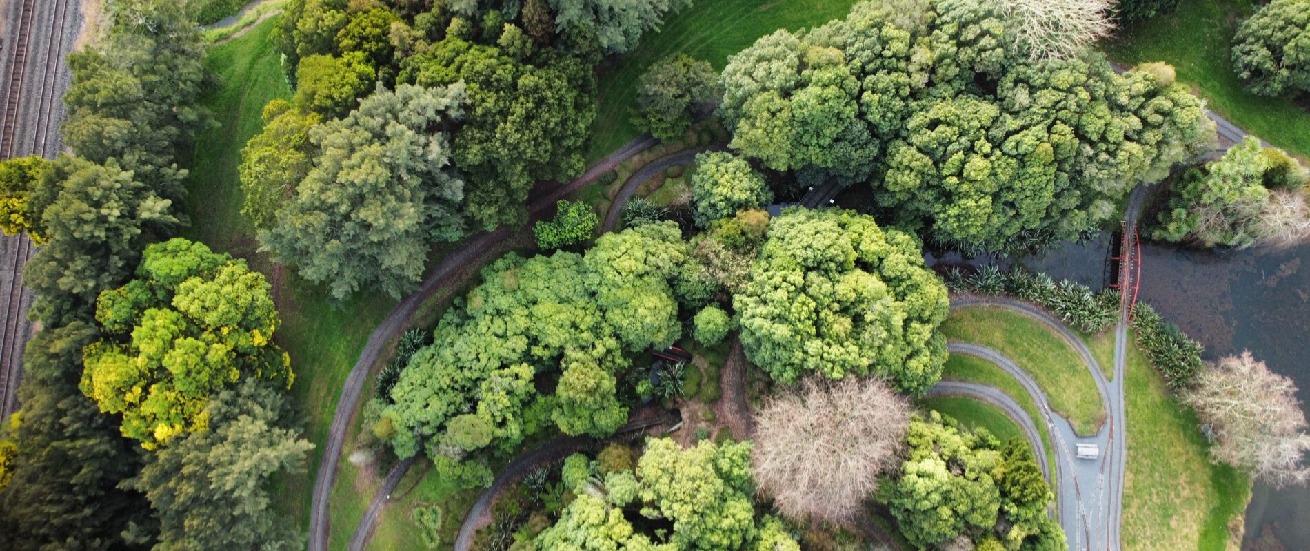 top view of a park with trees