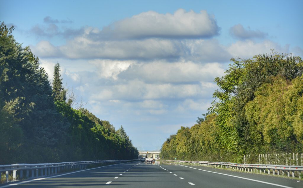 highway with trees growing along