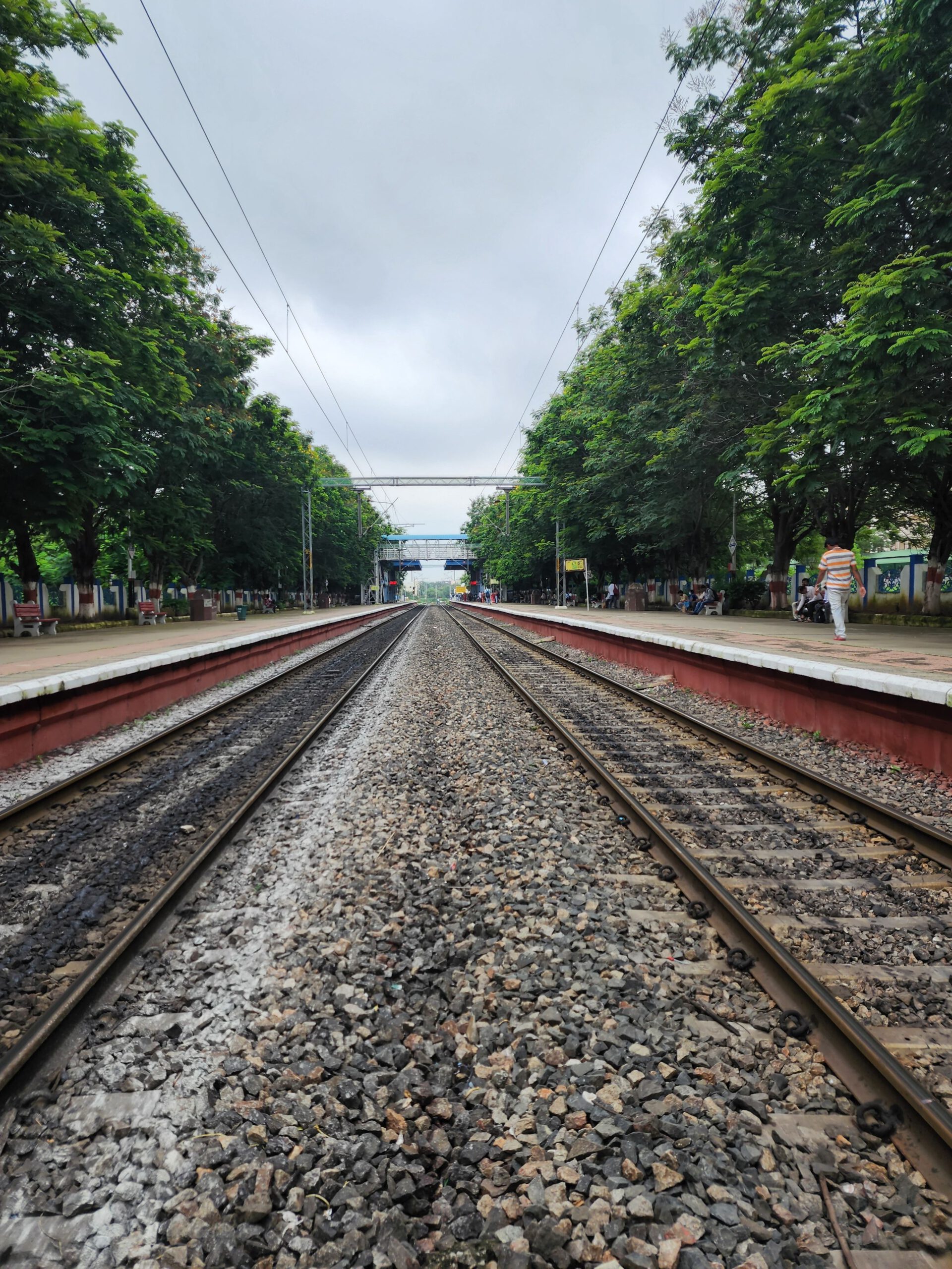 Ground-level view of trees along the railway tracks in Berlin