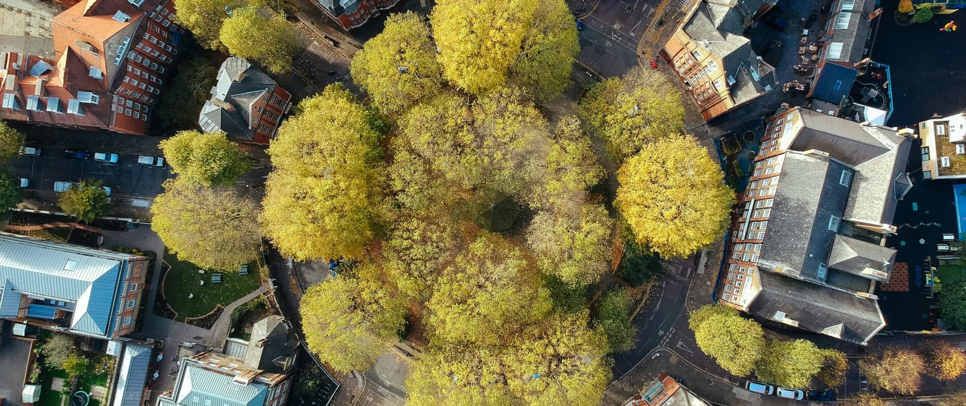 Aerial shot of city with trees planted in a circle